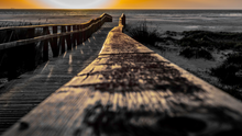Load image into Gallery viewer, PATHS TO THE SEA